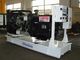 25kva - 1000kva Perkins Diesel Generator With Brushless AC Alternator