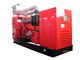 Portable Natural Gas Generator CHP System Long Life Span With Electronic Governor