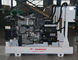 Manual Auto Control Yanmar Diesel Generator 40kva Power Station ISO9001 Approved