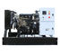 20kw 1800rpm Small Yangdong Genset Diesel Generator with Automatic Alarm System ATS